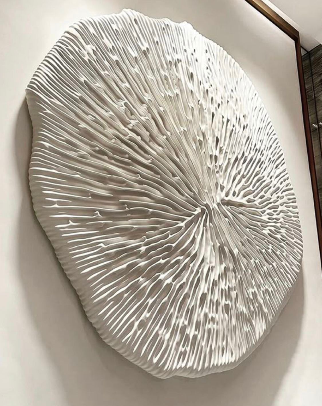 WhatsApp Image 2025-12-28 at 14.01.35